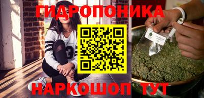 apvp Свободный