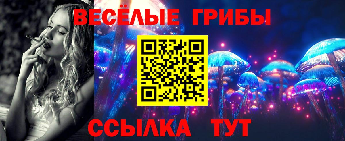 Самара  Псилоцибиновые грибы Magic Shrooms  Вход с VPN  Псилоцибиновые грибы мухоморы 